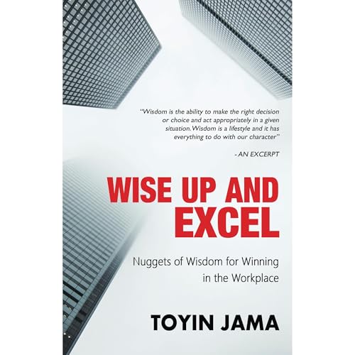 Wise Up and Excel Audiolibro Por Toyin Jama arte de portada
