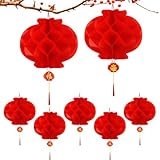 20/25CM Lanterne Cinesi 20 Pezzi, Decorazioni Capodanno...