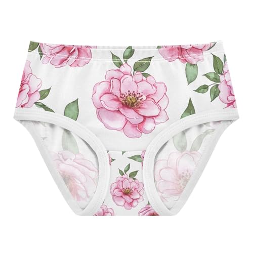 Watercolor Pink Flowers Toddler Girls's Underwear 2T 202c1408