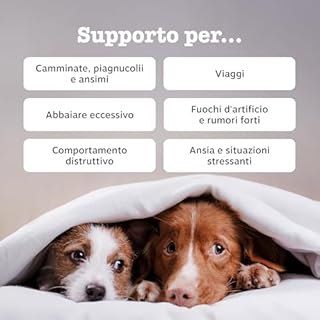 Zesty Paws calmante per cani | Integratore per cani | Ashwagandha, Tè Verde e L-Triptofano | Alimento Complementare per cani Adulti di tutte le taglie | Gusto Tacchino | 90 Pezzi