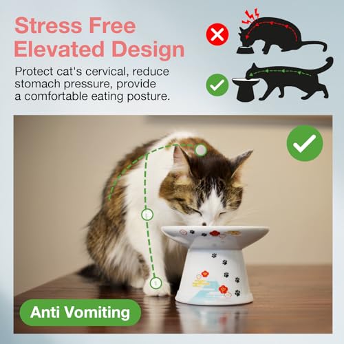 Necoichi Raised Cat Food Bowl – Ceramic Elevated Cat Bowl for Whisker & Neck Fatigue, Dishwasher Microwave Safe – Non-Slip & Anti Vomiting Ergonomic Design (Fuji, Extra Wide, 2-Cups Capacity). - Image 3