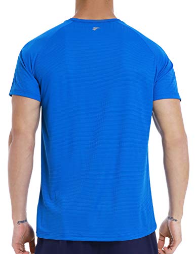 Men's Dry Fit Moisture Wicking A thletic T-Shirt Short Sleeve Workout Running Shirts for Men (Blue,XL)