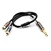 TISINO 10FT RCA to 1/4 Cable, Quarter inch TRS to RCA Audio Y Splitter, Insert Cable, Black, 20 AWG, Male-to-Male, PVC, Indoor, Compatible with Headphones