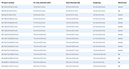 EMFA Abdeckstopfen für Bohrung Durchmesser 9 mm Weiß RAL 9010 Blindstopfen Abdeckkappen Endkappen Verschlusskappen 50 Stück Kopfdurchmesser 13 mm, Borloch 0,9 cm