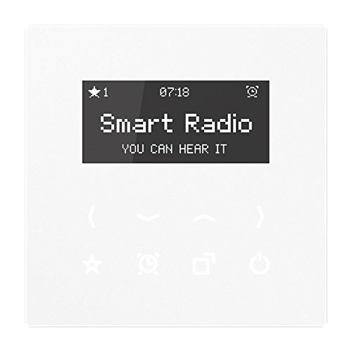 Preisvergleich Produktbild Jung Rad 908 WW Smart Radio Serie LS alpinweiß