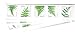 USPS Ferns Stamps - 50 Forever Stamps (5 Strips of 10 Stamps)