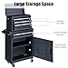 TTBKA Heavy Duty 4 Drawer Steel Tool Cart with Lock – Black Powder Coated, 330lb Capacity Rolling Cabinet with Casters for Workshop, Lab, Garage & Industrial Use