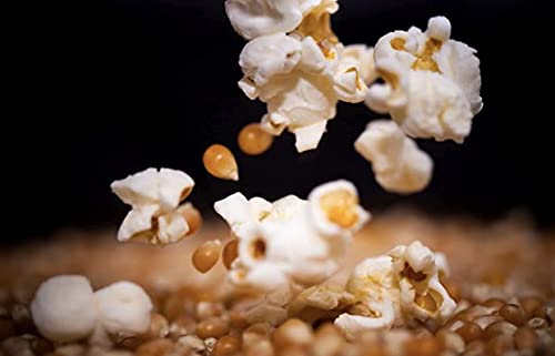 Fresh Farms Popcorn Popping Corn Kernels Air Poppers pitten voor filmavende snacks nieuwe kruiden popcorn – vrij van… - Image 7