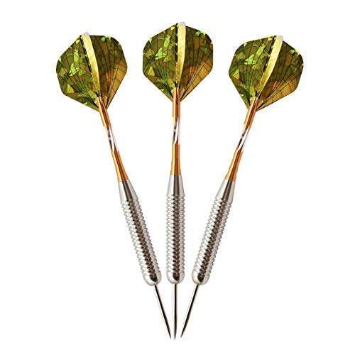 Fléchettes professionnelles 25g aiguilles en six packs complets avec coffret