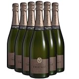 Champagne Brut bianco 2015 - Champagne Thienot - DOP - Champagne - Francia - Vitigni Chardonnay,Pinot Noir,Pinot Meunier - 6x75cl