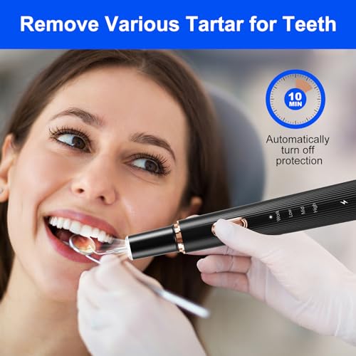 Rechargeable Plaque Remover with 4 Heads