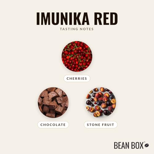 Imunika Red Premium Mushroom Coffee 8 Ounce Bag miniatura 3