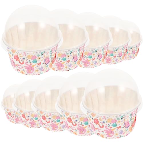 BIUDECO WtJbvP[LCi[100 x[LOJbv p[eB[ϔM}tBP[X