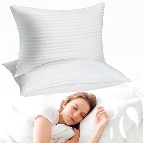HDSDVNON Juego De 2 Almohadas Premium Hotel Collection: Almohadas De Espuma Viscoelástica Refrescantes Tamaño Queen/King For Todas Las Posturas De Sueño.(1,Queen (20x28))