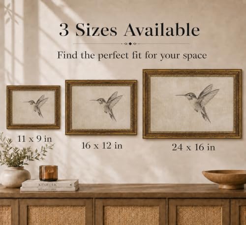 Image of Gold Framed 3D Textured Wall Art, Vintage Sketch Hummingbird Canvas Prints, Minimalist Neutral Birds Pictures Decor, Antique Naturalist Specimen Painting Artwork for Living Room Bathroom 16x24 in