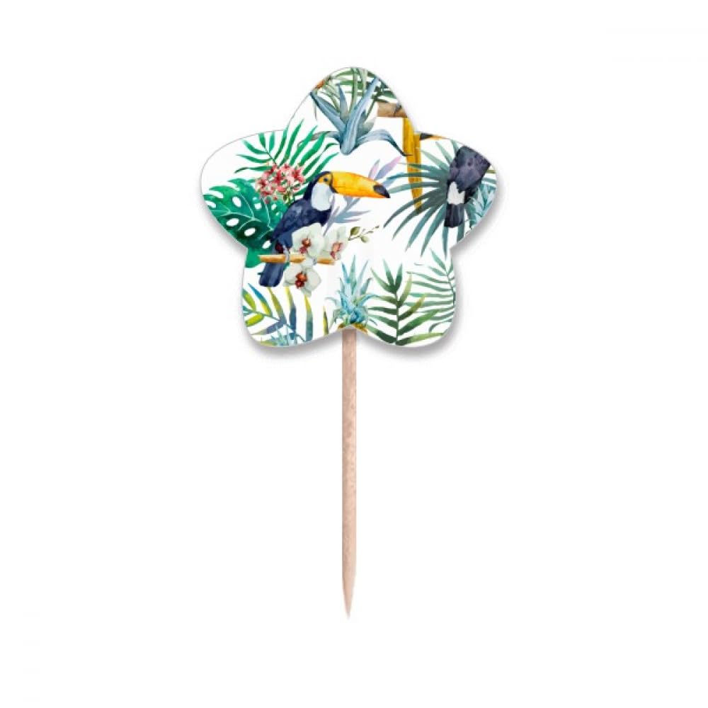 Cure-dents Toucan Aquarelle et Drapeaux Étoile PineFruit pour Décoration Cupcake
