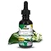 Nature's Answer Alcohol-Free Gymnema Leaf, 1-Fluid Ounce Gymnema Sylvestre extract