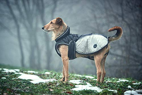 Hundemantel Hunter Uppsala Extreme für den Winter