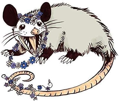 MR3Graphics Magnet Daisy Chain Opossum Possum Yaaaas! Magnetic Car Sticker Decal Bumper Magnet Vinyl 5"