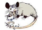 MR3Graphics Magnet Daisy Chain Opossum Possum Yaaaas! Magnetic Car Sticker Decal Bumper Magnet Vinyl 5'