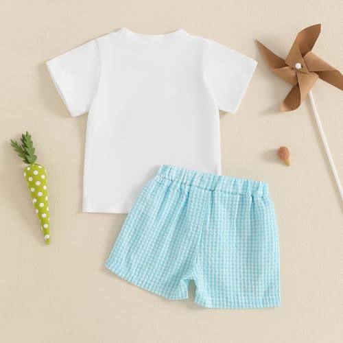 Image of Toddler Baby Boy Easter Rabbit Outfit Short Sleeve Bunny Carrot Smocked T-shirt Elastic Waist Shorts Summer Clothes