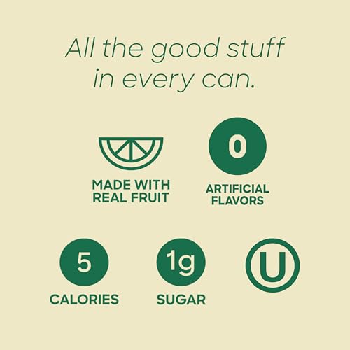 Sanzo Flavored Sparkling Water - Yuzu Lemon Soda Ginger Seltzer - Low Calorie Low Sugar Soda - Craft Asian Drinks - Vegan Gluten Free Carbonated Flavored Water - Fizzy Healthy Drinks - 12oz, 12 Pack