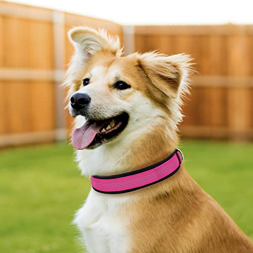 Tdtok Soft Neoprene Padded Dog Collar, Adjustable Durable Nylon Dog Collar For Small Medium Large Dogs, Breathable Heavy Duty Reflective Dog Collars With Metal Safety Buckle #TOP2