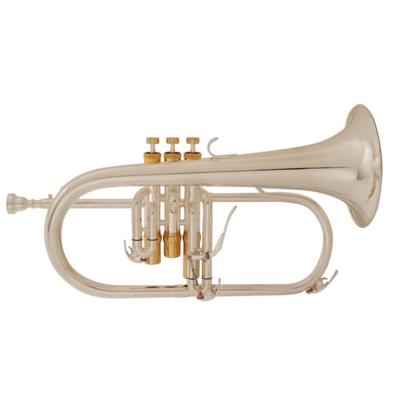 Soundman EFH-601RS Flügelhorn in B (Versilbert) - Komplett mit Koffer, Mundstück und Pflegezubehör