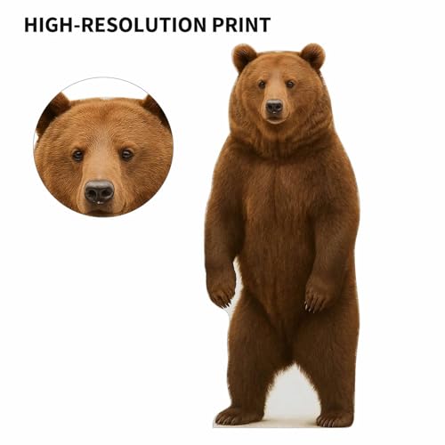 Image of Brown Bear Standup - 2FT Life Size Cardboard Cutout - A Fun Animal Standup for Photo Booths, Birthday Parties, and Events