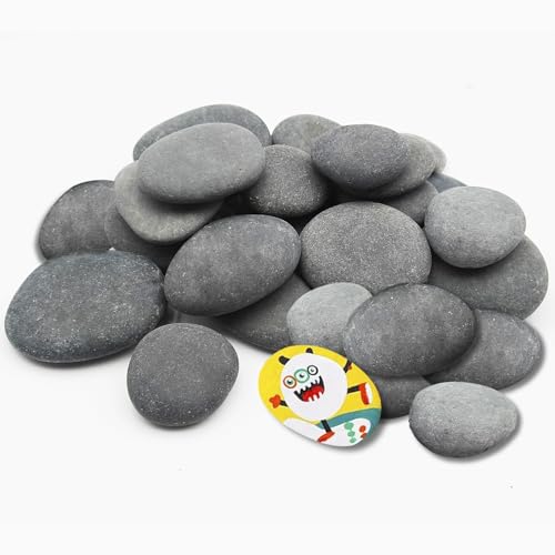 DALTACK 40 Pcs Large Rocks for Painting 25pcs 2-3in &