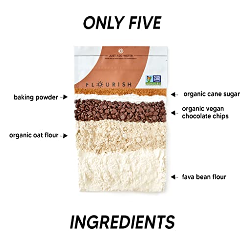 Flourish - Plant-Based Protein Pancake & Waffle Mix, Gluten-Free, Vegan, Non-Gmo, All-Natural Superfood, High Protein & Fiber, Just Add Water - Chocolate Chip, 16Oz #TOP4