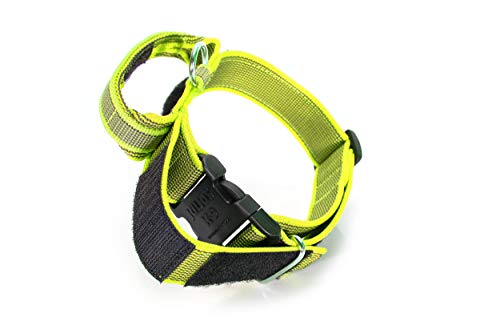 Julius-K9 Collare Color & Gray con manico