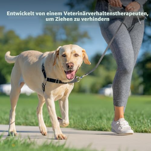 PetSafe Easy Walk Hundegeschirr.