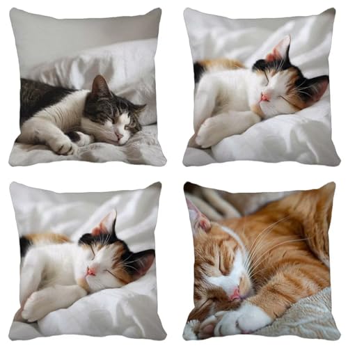 Funda Cojin Gato Juego de 4 Sin Relleno Cojin 55 x 55 mm Fundas Cojines Exterior Impermeable Lino Animal, para Caseta Jardin Exterior Silla Terraza Sofa Cojines Cama Decorativos Salón Dormitorio 0-8
