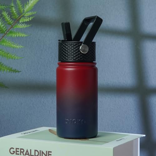 Image of BJPKPK Insulated Water Bottle, 15oz Stainless Steel with Straw Lid