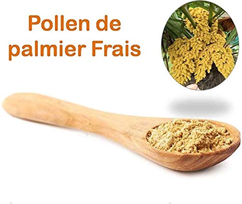 Pollen De Palmier Bio 100% Pur & Naturel - Poudre 40g - Complément Alimentaire - Maroc