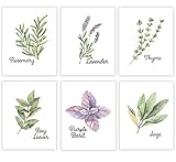 Kitchen Wall Art - Botanical Prints Wall Decor - Watercolor Herbs Kitchen Signs - Rustic Farmhouse...