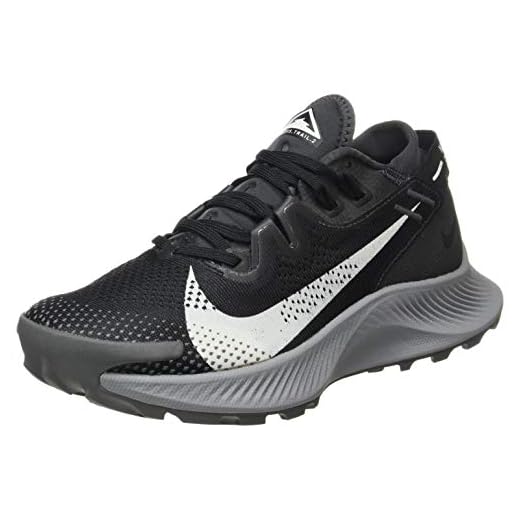 Nike Damer Pegasus 2 spårlöpning sko, Black Spruce Aura Dark Smoke Grey Particle Grey Iron Grey, 36.5 EU