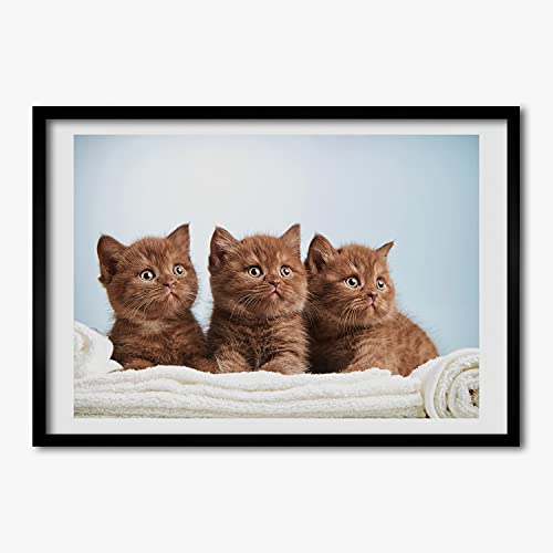 Affiche de chatons déco murale pour salon avec cadre en bois moderne 70x50 cm