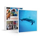 Smartbox