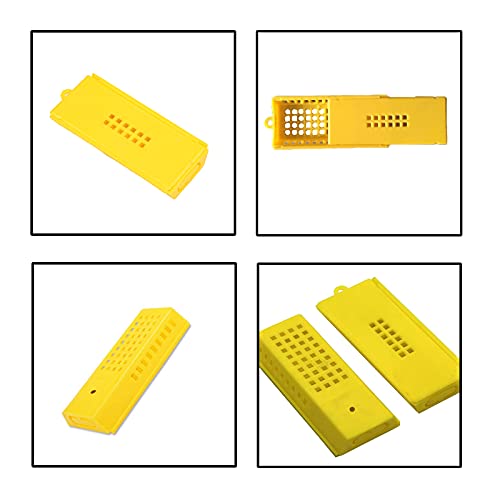 Kit Coppa Allevamento Apicoltura Gabbie in