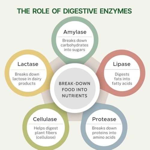 Image of Pure Nutrition Digestive Enzymes 840mg with Bromelain - 120 Veg Capsules | Supports Digestion, Nutrient Absorption & Gut Health | Blend of Amylase, Lipase, Protease, Cellulase | Eases Gas & Bloating