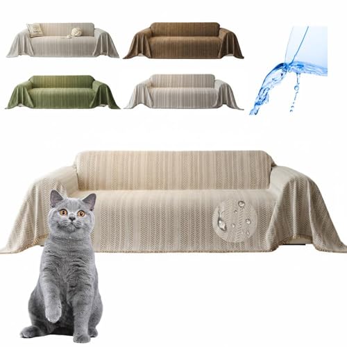 Lifetips ueBbVV[gwA British Shorthair \t@[Jo[ k  􂦂 h }`Jo[ 2l| 3l| It IȂ ~ Eh~ LΉ lGʗp ix[Wj i130180C