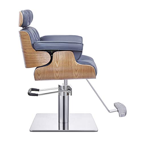 Salon Styling Chair Hydraulic Stylist Chair Dreames In Grey #TOP4