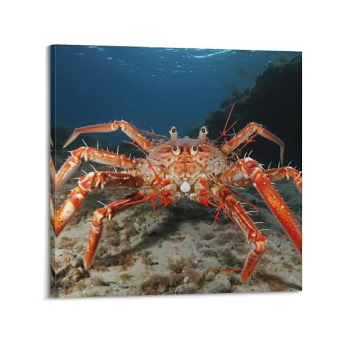 Poster araignée crabes fond de la mer affiches murales toile moderne chambre 70x70cm