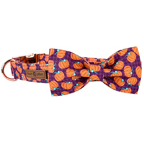 Lionet Paws Dog Collar with Bowtie, Halloween Bowtie for Dogs, Adjustable Comfortable Dog Collar Girl Boy, M, Neck 34-55cm - Image 4