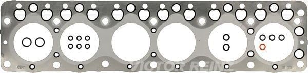 Reinz 61-52520-00 Guarnizione, testa a clindro