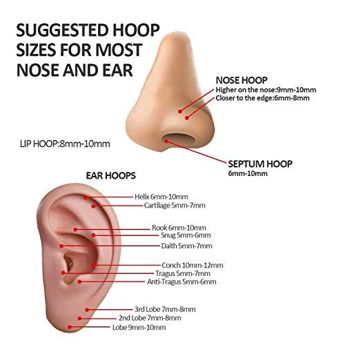 Bogku 8Pcs Titanium Nose Ring Hoops 20G Septum Clicker Hinged Nose Rings 20 Gauge Nose Ring 8Mm Cartilage Helix Hoop Earrings (20 Gauge 8Mm) #TOP3