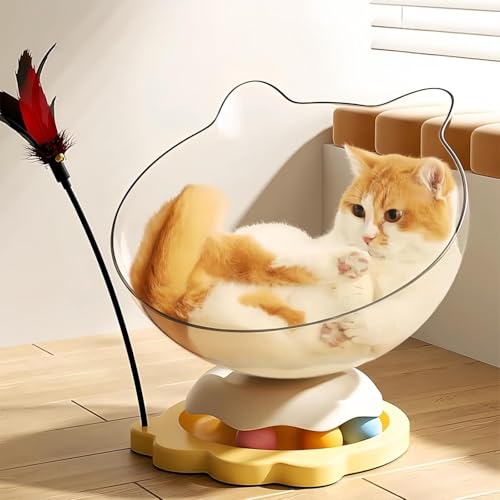 Lxbh L @\ XgX {[H炵 FD^ h/h  ʋC S݌v (CG[,M)