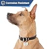 GoTags Stainless Steel Pet ID Tags, Personalized Dog Tags and Cat Tags, up to 8 Lines of Custom Text, Engraved on Both Sides, in Bone, Round, Heart, Bowtie and More (Bow Tie, Small (Pack of 1)) #3